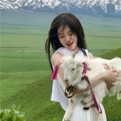 灰姑娘企鹅的温柔故事